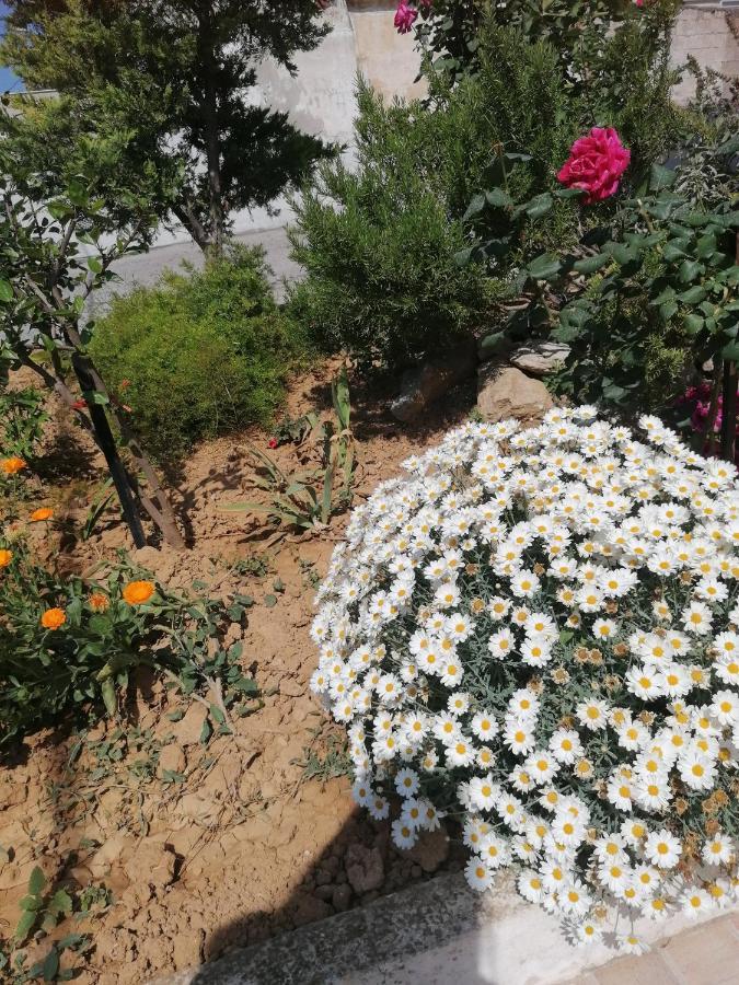 이라클리온 Elva Creta 아파트 외부 사진